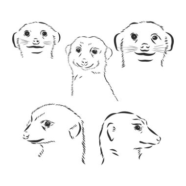 Bir mirketin el çizimi