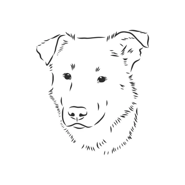 Flauschige Mischlingshund Vektor Hand Zeichnung Illustration Schwarzer Farbe Isoliert Auf — Stockvektor