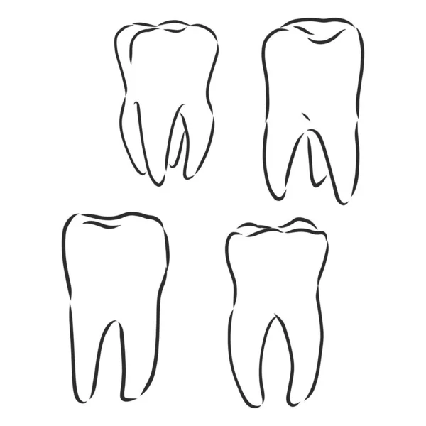 Dents Abstraites Ensemble Croquis Vectoriel Illustration Dent Croquis Vectoriel Illustration — Image vectorielle