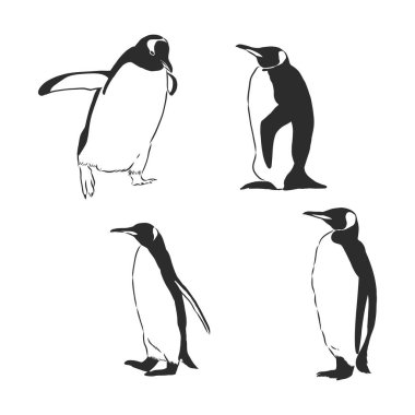 Penguen ikonu penguen vektör çizimi çizimi