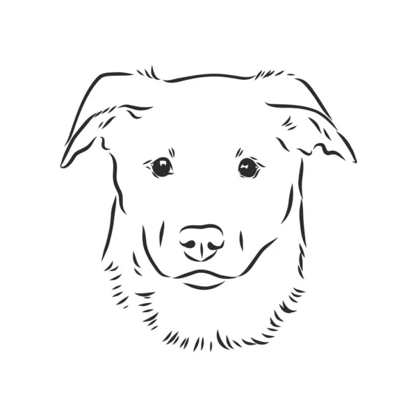 Пушистый Дворняга Вектор Собаки Ручной Рисунок Черном Цвете Изолированы Белом — стоковый вектор