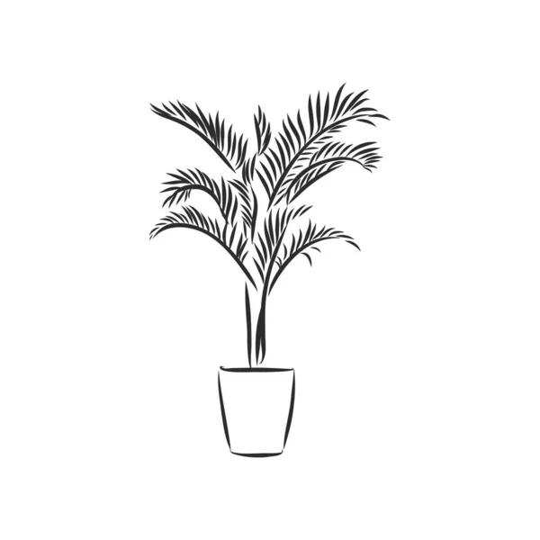 Planta Arte Maceta Dibujo Contorno Del Conjunto Vectores Bocetos Plantas — Vector de stock