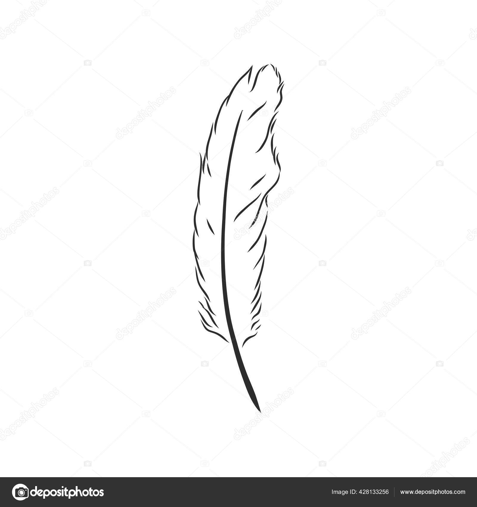 Green and black feather, Bird Feather Drawing, Blue Feather, blue, animals,  peacock Feather png | PNGWing
