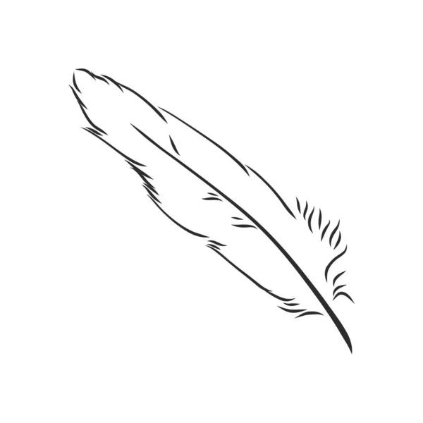 Plumes Oiseaux Illustration Dessinée Main Convertie Vecteur Contour Avec Fond — Image vectorielle