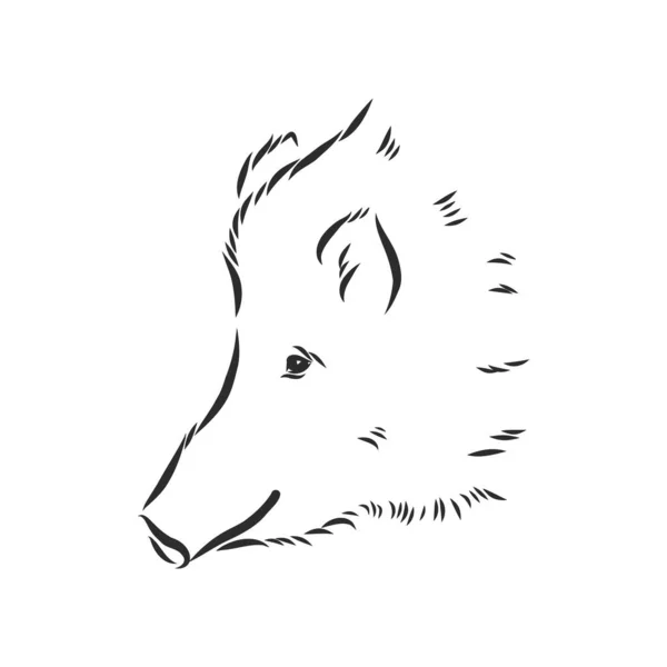 Profile Stock Vector Illustration Sketch Grunge Wild Boar — 스톡 벡터