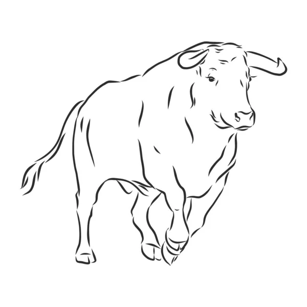 Sketch Bull Ilustración Dibujada Mano Vectorial Vista Lateral — Archivo Imágenes Vectoriales
