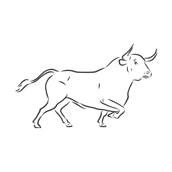 黑白直线油漆画公牛矢量图解 — 图库矢量图片