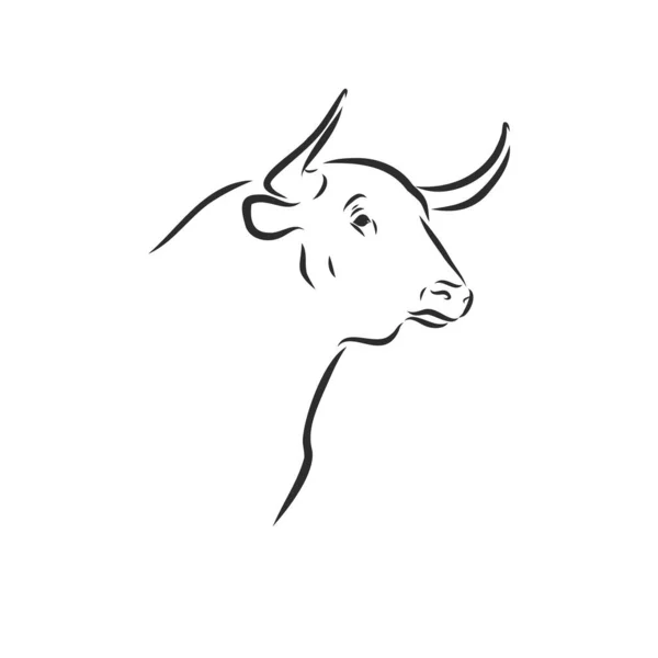 Preto Branco Pintura Linear Desenhar Bull Vetor Ilustração —  Vetores de Stock