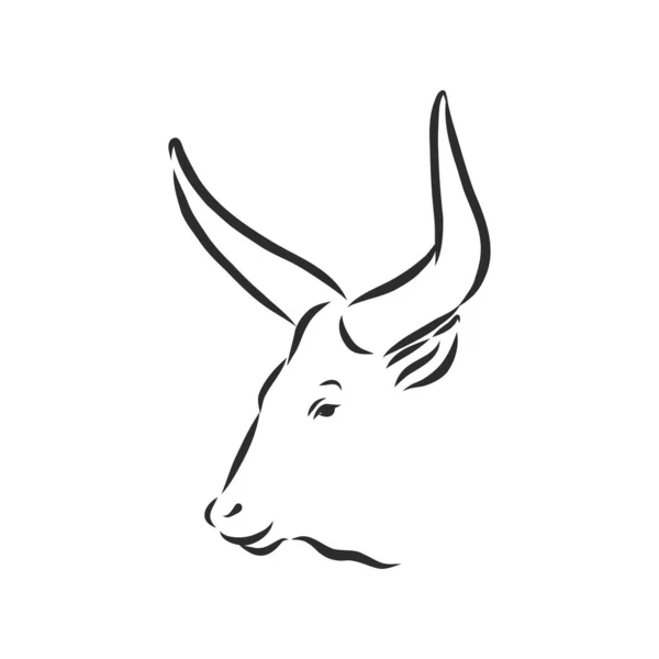 黒と白の線画が牛のイラストを描く — ストックベクタ