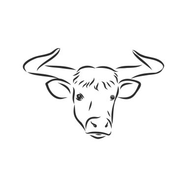 siyah ve beyaz doğrusal boya boğa vektör çizimi