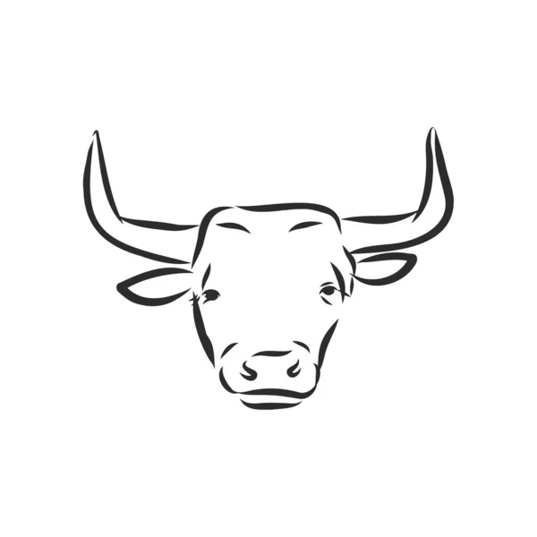 Preto Branco Pintura Linear Desenhar Bull Vetor Ilustração — Vetor de Stock