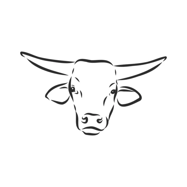 Preto Branco Pintura Linear Desenhar Bull Vetor Ilustração —  Vetores de Stock