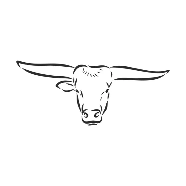 Black White Linear Paint Draw Bull Vector Illustration — Stock Vector