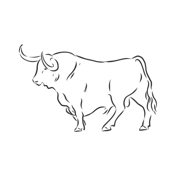 Black White Linear Paint Draw Bull Vector Illustration — Stock Vector