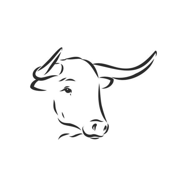 Preto Branco Pintura Linear Desenhar Bull Vetor Ilustração —  Vetores de Stock