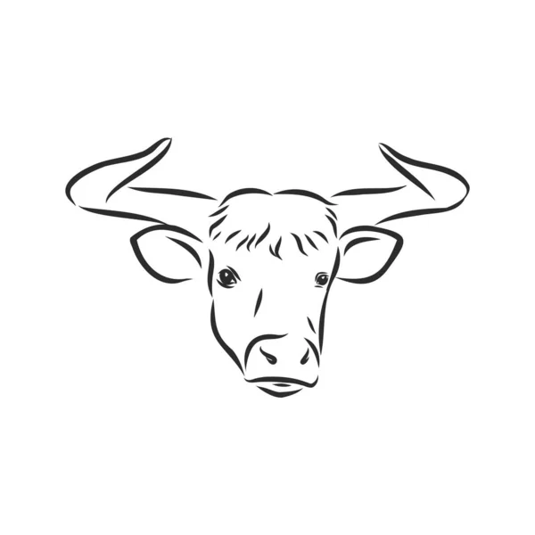 Preto Branco Pintura Linear Desenhar Bull Vetor Ilustração —  Vetores de Stock