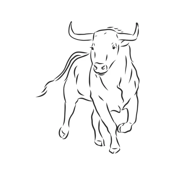 Preto Branco Pintura Linear Desenhar Bull Vetor Ilustração —  Vetores de Stock