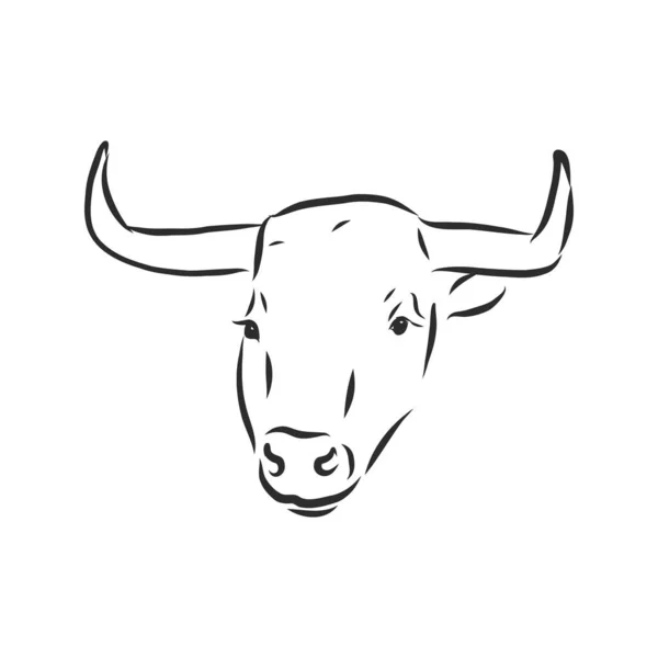 Preto Branco Pintura Linear Desenhar Bull Vetor Ilustração — Vetor de Stock