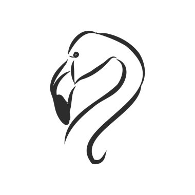 Flamingo çizim vektör çizimi... flamingo vektör çizimi