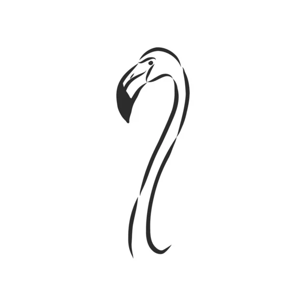 Flamingo Skizze Vektor Illustration Flamingo Vektor Skizze Illustration — Stockvektor