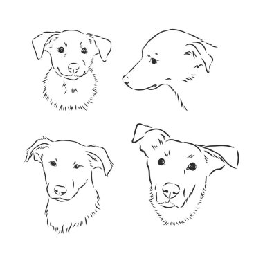 Komik köpek eskizi. vektör illüstrasyonu.