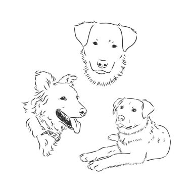 Komik köpek eskizi. vektör illüstrasyonu.