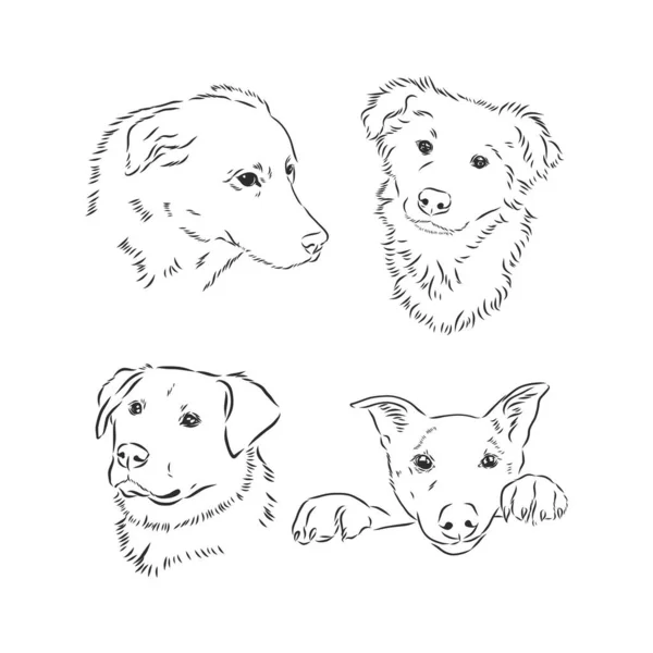 Boceto Perro Gracioso Ilustración Vectorial — Vector de stock