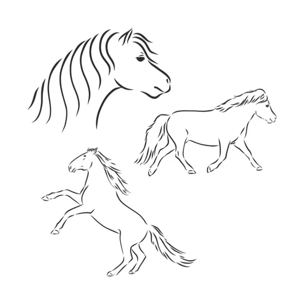 馬の黒と白のスケッチ — ストックベクタ