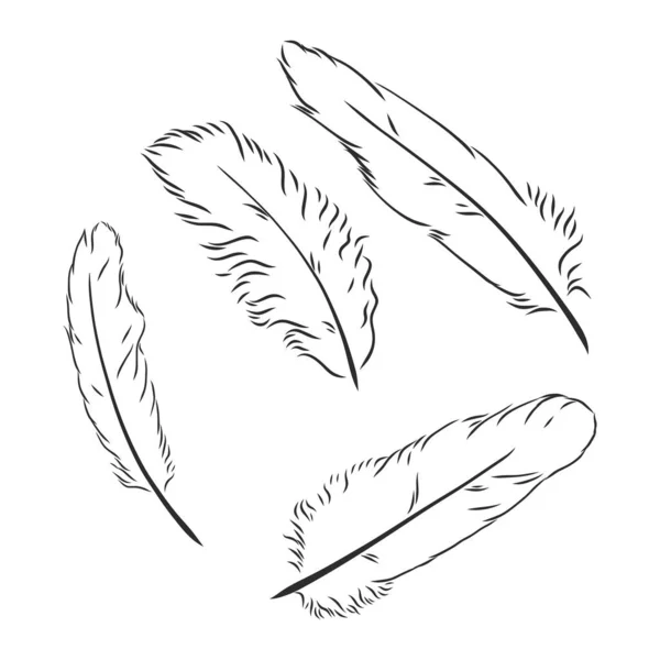 Plumes Dessinées Main Sur Fond Blanc — Image vectorielle