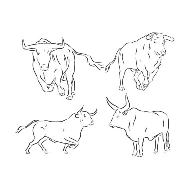 siyah ve beyaz doğrusal boya boğa vektör çizimi