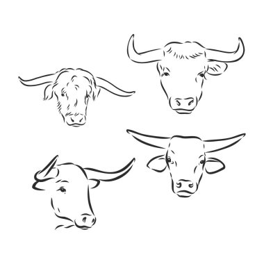 siyah ve beyaz doğrusal boya boğa vektör çizimi