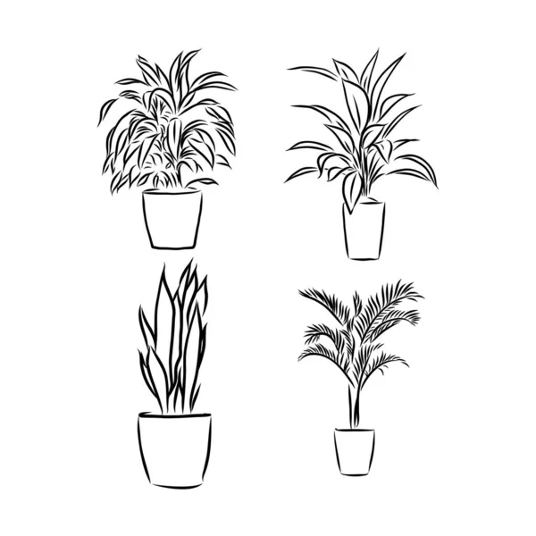 Plantas de maceta dibujadas a mano vector conjunto. Plantas de interior vector boceto ilustración — Vector de stock