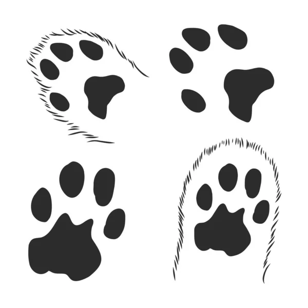 A set of dogs paws. Black traces in different styles. Isolated on white background. Silhouettes of paws. Vector illustration. cat paw trace, vector sketch illustration — Stock Vector