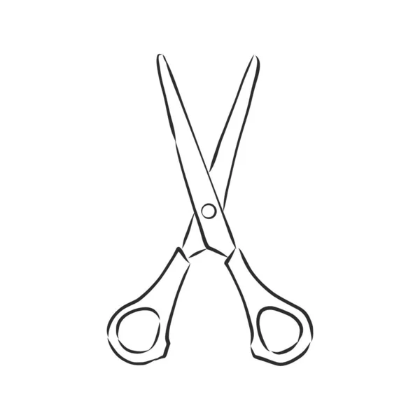 Doodle Style Scissors Illustration Scissors Vector Sketch Illustration — Stock Vector