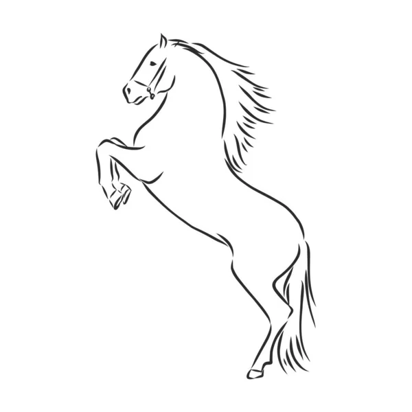 Beautiful Jumping Horse Black White Vector Outline — Stock Vector