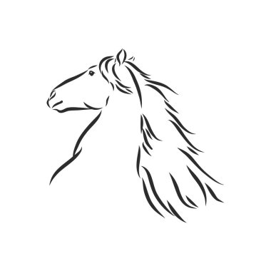 Koşan bir atın vektör silueti. Güzel at vektörü çizimi