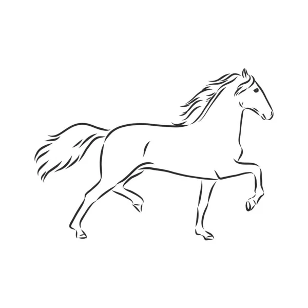 Vectorsilhouet van een renpaard. mooie paard vector schets illustratie — Stockvector