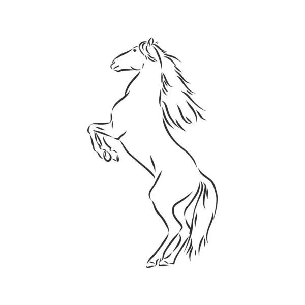 Vectorsilhouet van een renpaard. mooie paard vector schets illustratie — Stockvector