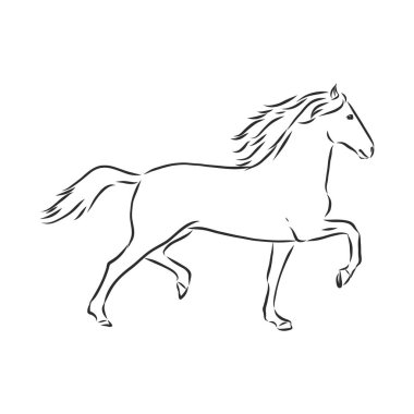 Bir atın vektör silueti