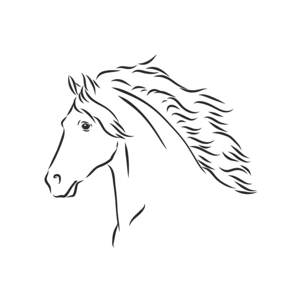 Vectorsilhouet Van Een Paard — Stockvector
