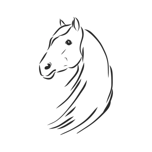 Silueta Vectorial Caballo — Vector de stock