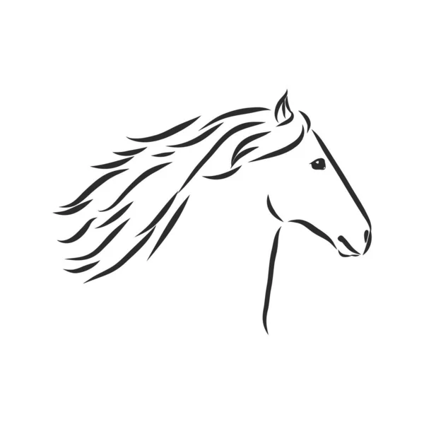 Silueta Vectorial Caballo — Vector de stock