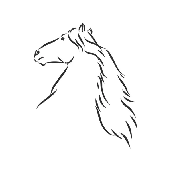 Silueta Vectorial Caballo — Vector de stock