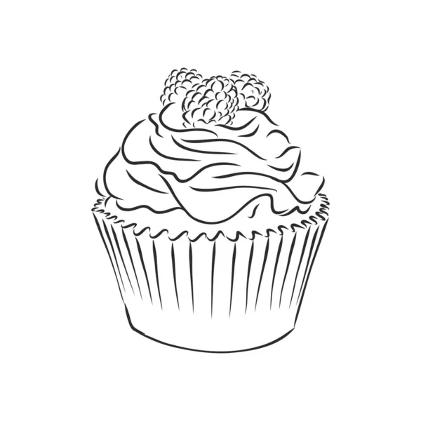 Ensemble de cupcakes décorés de boulangerie sucrée dessinés à la main dans un style gravé vintage. Illustration vectorielle. Isolé sur fond blanc. cupcake cake vecteur croquis illustration — Image vectorielle