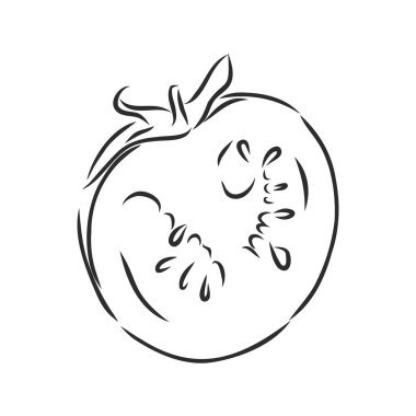 Domates. Grafikler. İllüzyon. Vektör. Domates vektörü çizimi