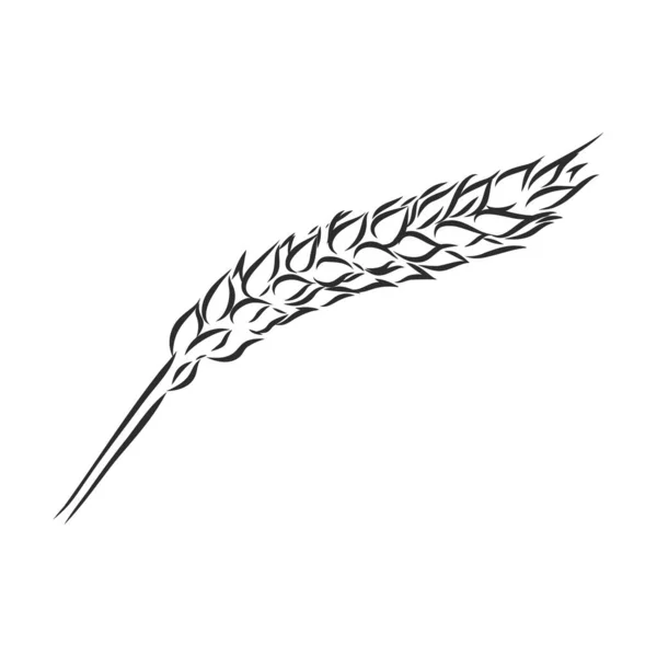 Wheat Ear Handmade vector illustration, sketch. 밀 벡터 스케치 일러스트 — 스톡 벡터