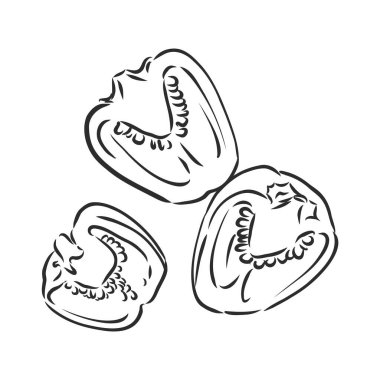 Tatlı biber. Beyaz arka planda izole edilmiş sebzeler çizdim. Çan biberi, vektör çizimi çizimi