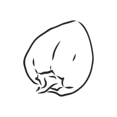 Tatlı biber. Beyaz arka planda izole edilmiş sebzeler çizdim. Çan biberi, vektör çizimi çizimi