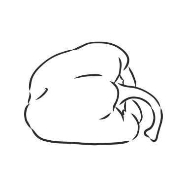 Tatlı biber. Beyaz arka planda izole edilmiş sebzeler çizdim. Çan biberi, vektör çizimi çizimi