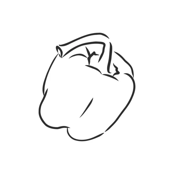 Сладкий перец. Векторные овощи ручной работы изолированы на белом фоне. перец, векторная иллюстрация — стоковый вектор